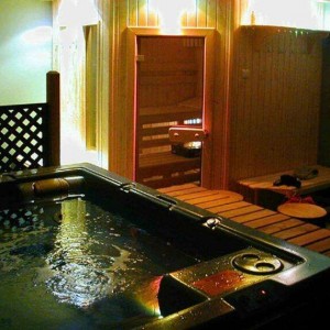 Sauna i minibasen z barkiem